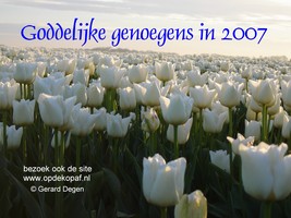 2007